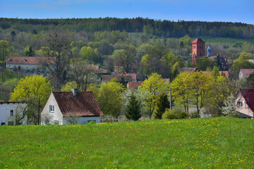 Spring country landscape