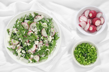 Salad with arugula, cottage cheese, radish and red onion
