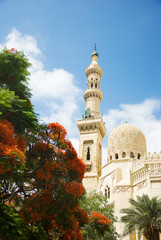mosque in Alexandria, Egypt
