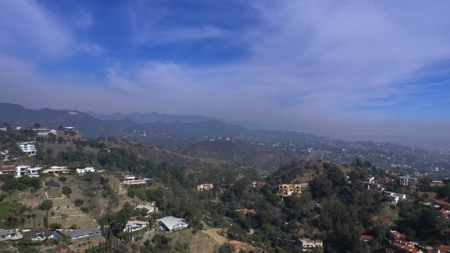 A view of the Hollywood Hills from atop Runyon Canyon.  	