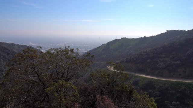 A daytime establishing shot of the trails of Runyon Canyon Park in Hollywood, CA.  	