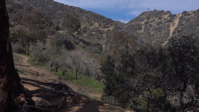 A daytime establishing shot of Runyon Canyon Park in Hollywood, CA.  	