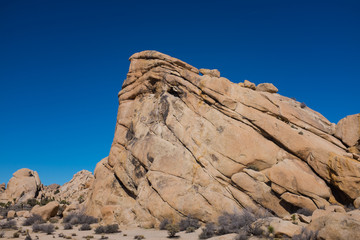 Fototapeta premium Big blue