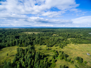Fototapeta na wymiar Aerial forest view