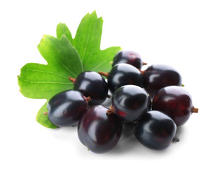 Wild black currant with green leaves isolated on white
