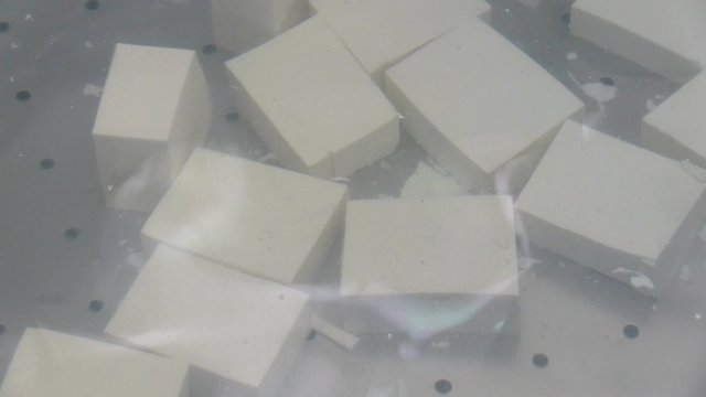 できたての豆腐