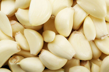 Garlic background