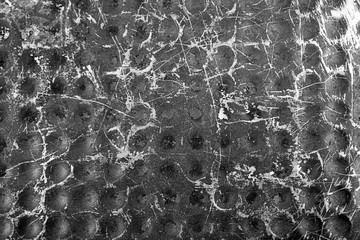 Silver dotted metal background, close up