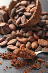 Bowl with aromatic cocoa beans and chocolate on grey background, close up