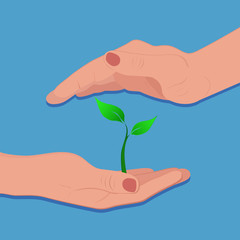 Fototapeta na wymiar green plant growing in hand, vector illustration