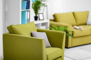 Living room interior with green furniture on light background