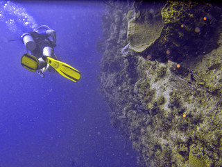 SCUBA Diving in Caribbean
