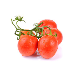  tomatoes  on white  background