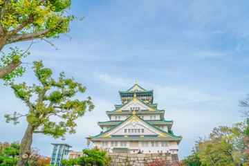 Fototapeta premium Osaka castle in Osaka Japan
