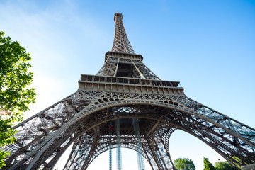 Fototapeta na wymiar Summer in Paris and the Eiffel tower