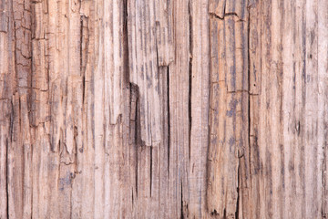 background of old grunge wooden surface macro
