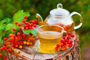 green tea with viburnum