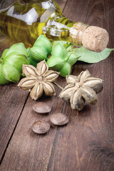 dried capsule seeds fruit of sacha-Inchi peanut