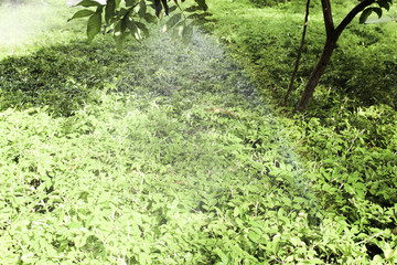 Automatic drip system