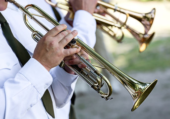 Obraz na płótnie Canvas musicians at the festival of military brass bands