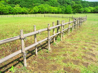 柵のある初夏の草原と林風景