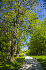 Scenic Pathway Outdoors