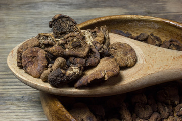 Dried mushrooms in a spoon on wooden background