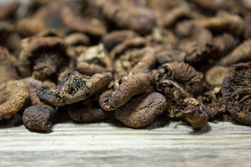 Dried mushrooms on wooden background