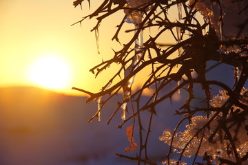 Sunset in winter