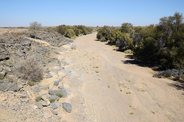 Dried-up riverbed, Namib, Namibia