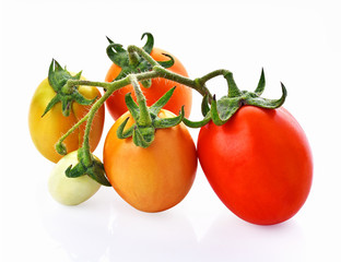 Tomatoes red , green and yellow on white background
