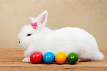 The pretty easter rabbit guarding colorful eggs