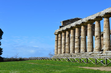 Fototapeta premium Colonnes du temple de Cérès de Paestum