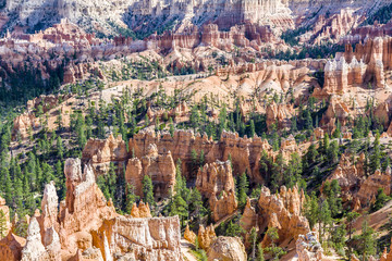 beautiful landscape in Bryce Canyon with magnificent Stone forma