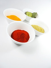 Variation of spices, paprika powder, curry, chili powder and laurel leafs