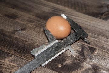 Egg measurement