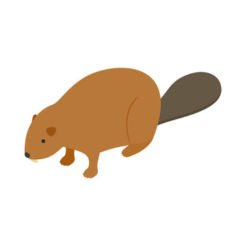 Beaver icon, isometric 3d style