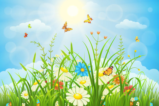 Summer or spring meadow landscape with flowers, grass and butterflies