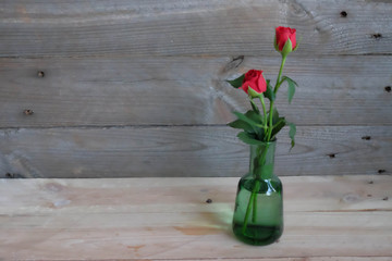 rose in green bottle wood background