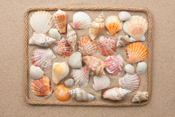 Beautiful frame of rope and sea shells on the sand