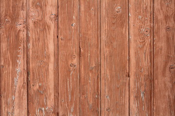 Fototapeta premium beige painted spruce planks texture