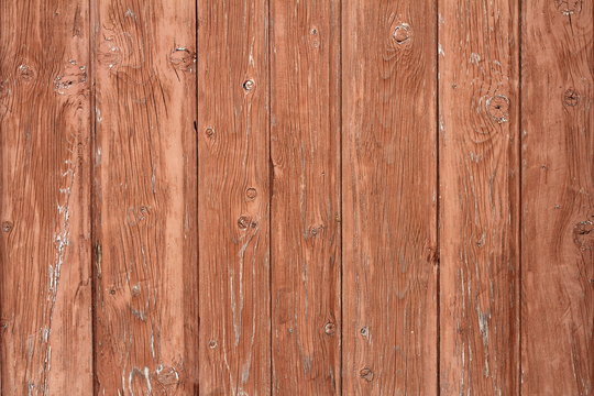 beige painted spruce planks texture © taviphoto