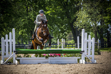 equestrian riding in hunter and jumper ring