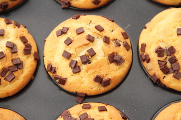leckere Schokomuffins