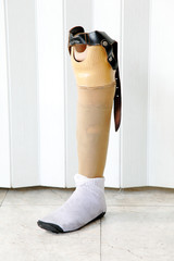 prosthetic leg