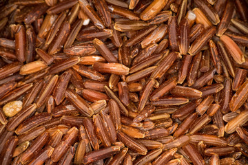 Makroaufnahme Roter Reis