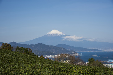 Fototapeta na wymiar 日本平から望む富士山と清水港