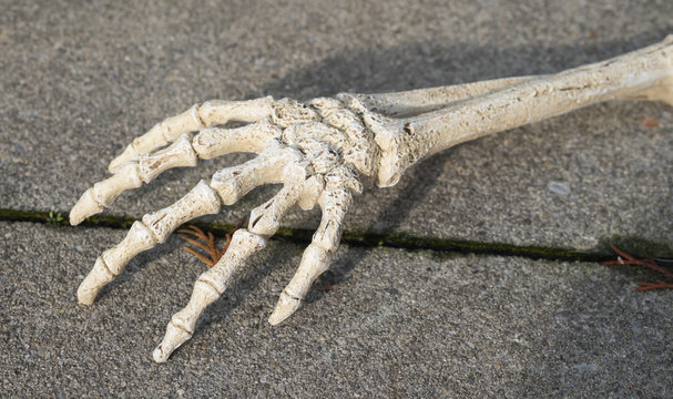 Handknochen