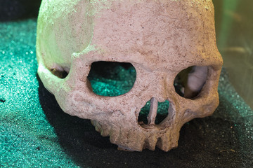 Schädelknochen © anotherworld