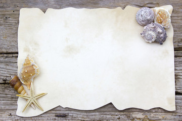 blank paper with seashells